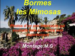 183 D24 BORMES LES MIMOSAS 2_000001